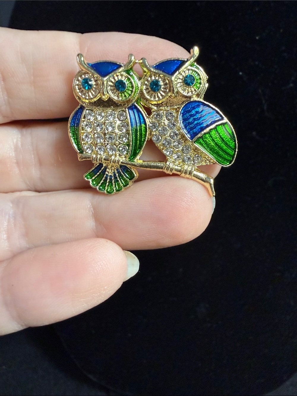 Gold-Tone Blue & Green Owl Duo Brooch - Women Jewelry